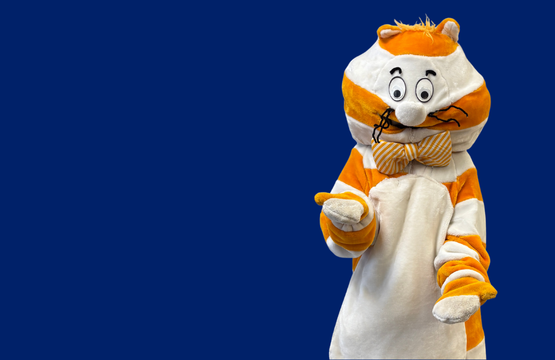 Elevator Rates 2026 Highlight Widget