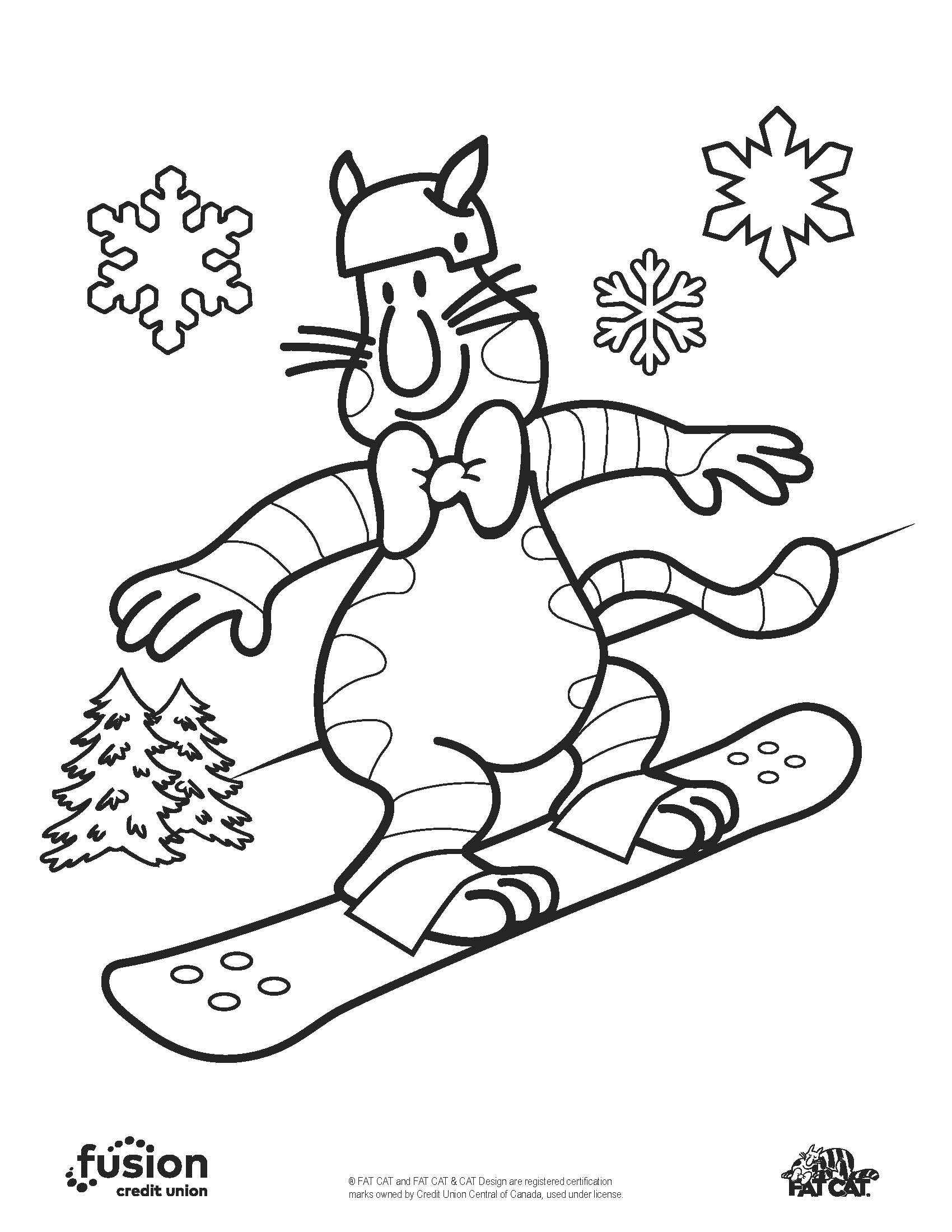 FAT CAT Snowboard (2)